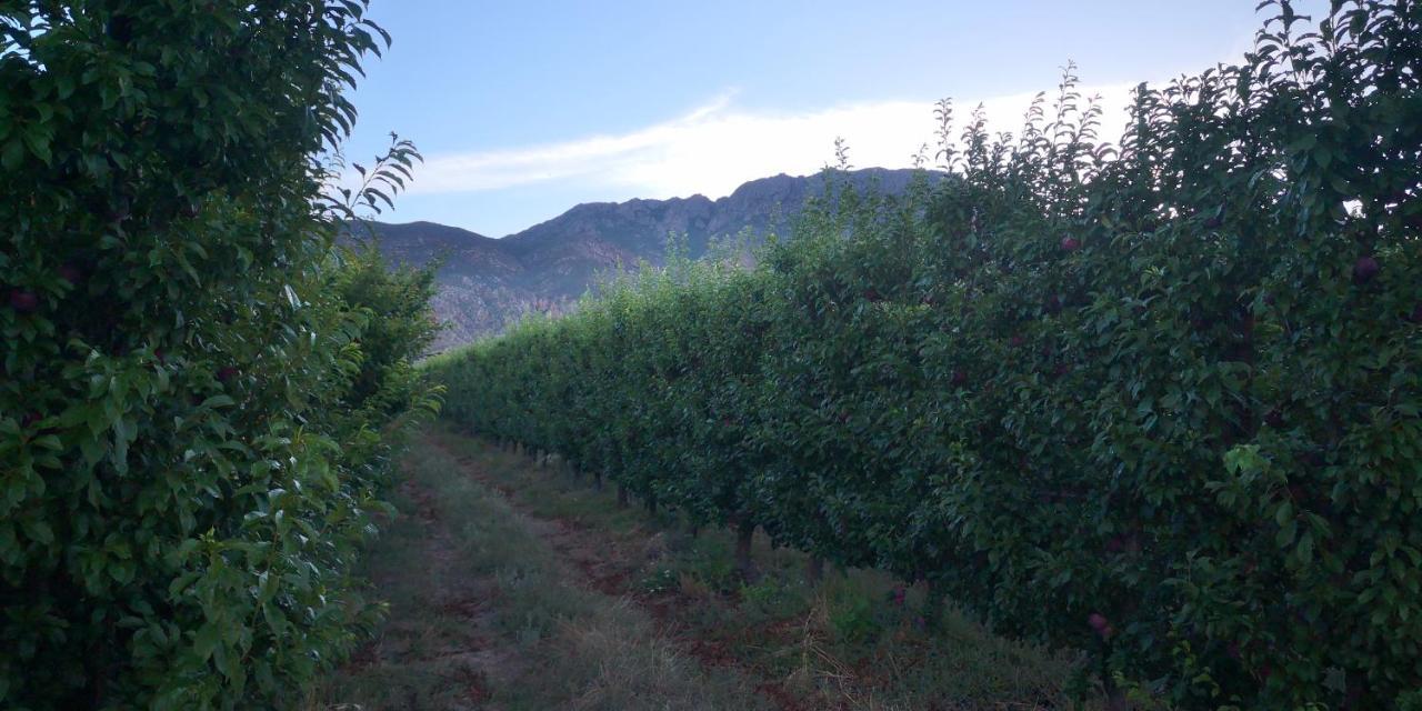 Lank-Gewag Farm Cottage With Private Hottub Montagu Luaran gambar